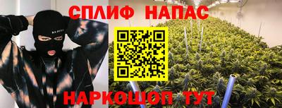 шишки Вязьма