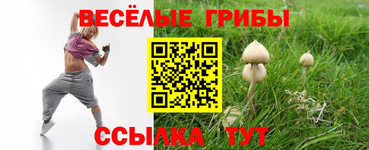 Псилоцибиновые грибы Psilocybine cubensis  Вход с VPN  Камень-на-Оби  Галлюциногенные грибы MAGIC MUSHROOMS 